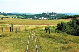 Тур Винний шлях Закарпаття: Боржавська вузькоколійка